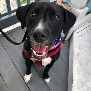 Meet your Posher, Noelle